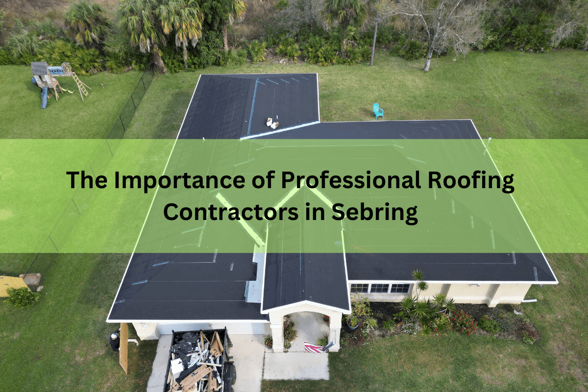 Professional-Roofing
